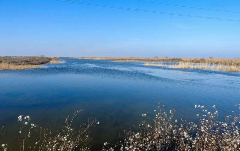 Azərbaycanda iki tələbə göldə BOĞULDU