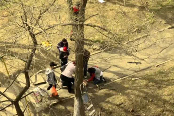 Göyçayda FACİƏ: Alça yığan oğlanı cərəyan vurub öldürdü