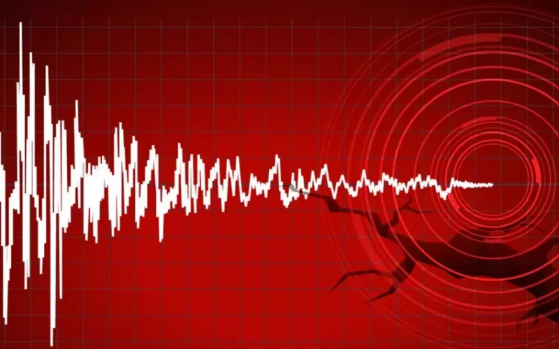 Daha bir ölkədə zəlzələ baş verdi