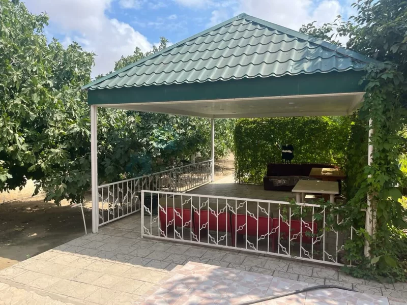 Xalq artisti bağ evini ucuz qiymətə SATIR: səbəbi ürək dağladı - FOTOLAR