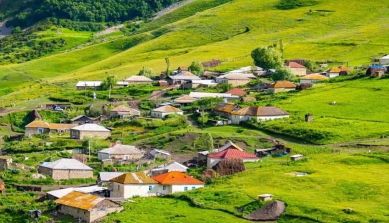 “Azərbaycanda kiçik kəndlərin birləşdirilməsi qaçılmazdır” - TƏKLİF