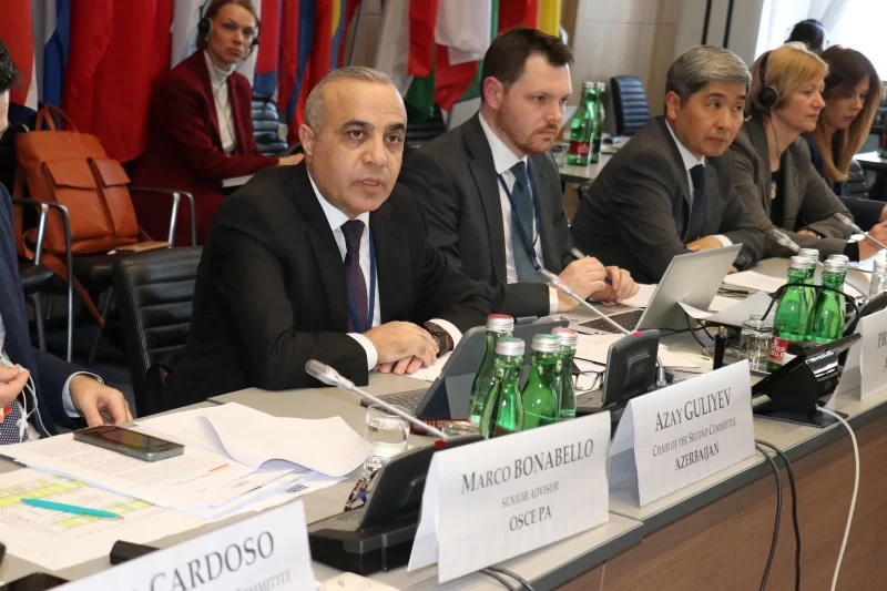 ATƏT PA-nın Qış Sessiyasında Orta Dəhliz, iqlim böhranı və süni intellekt müzakirə olunub - deputat