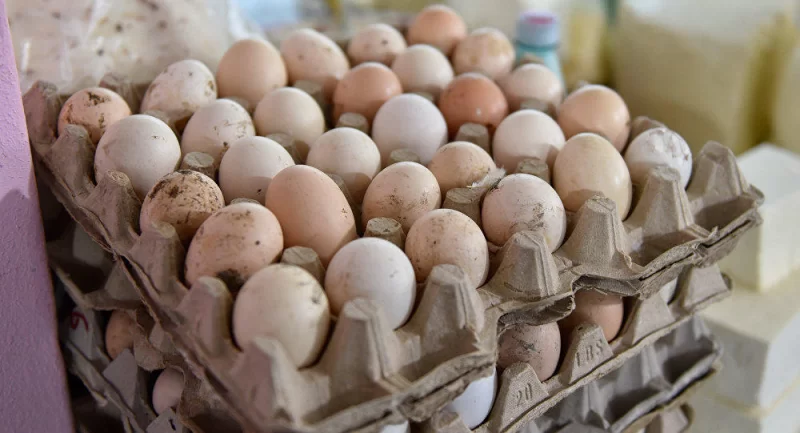Yumurta qiymətləri rekord həddə çatdı
