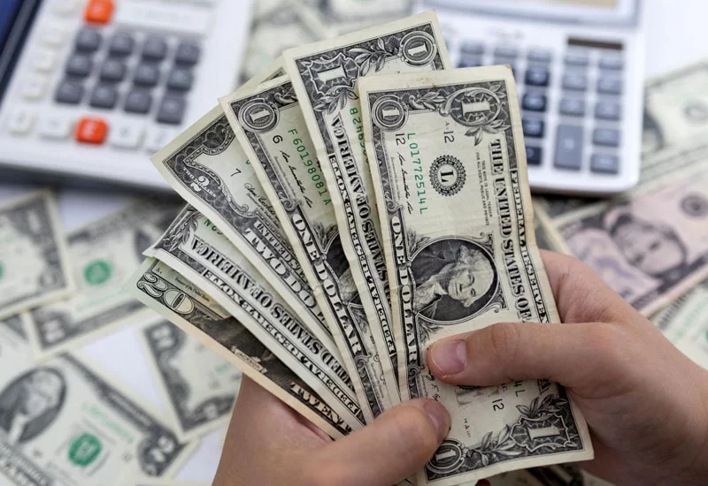 Banklar daha dollar almır: Nə baş verir?