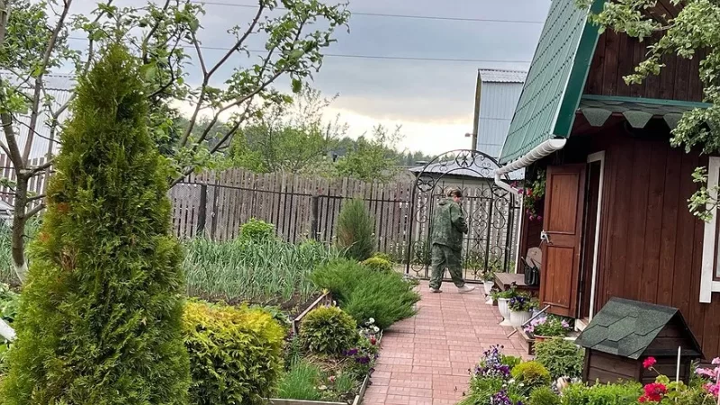 İyunun 11-dən qəti qadağan OLUNACAQ