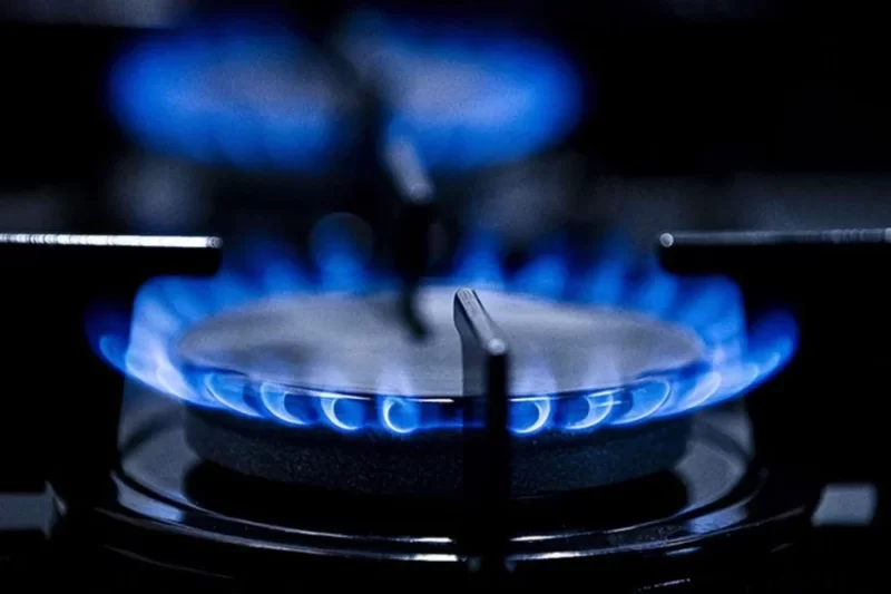 Qazın qiyməti 4% artdı