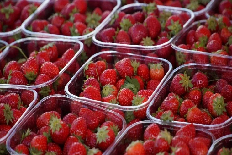 Bazara çiyələk almağa gedəndə özünüzlə salfet götürün: Ağıllı hiylə