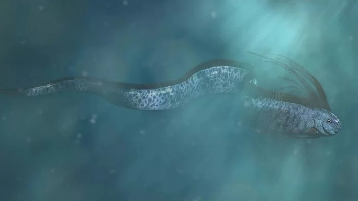 Qiyamət balığı sahilə çıxdı - Bədbəxt hadisələrin gəlişindən xəbər verir