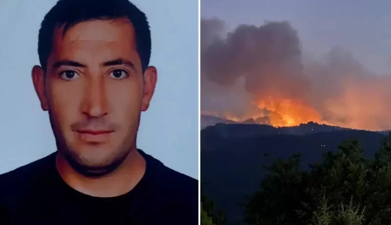 Faciəvi şəkildə ölən meşə işçisinin “Maaş” mesajı ürək parçaladı - FOTO