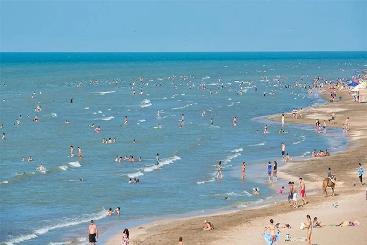 Çimərliyə gedənlərə xəbərdarlıq - Yeni virus yayılıb