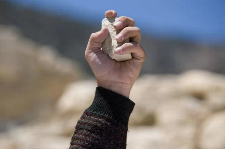 Prezidentə daş atan saxlanıldı