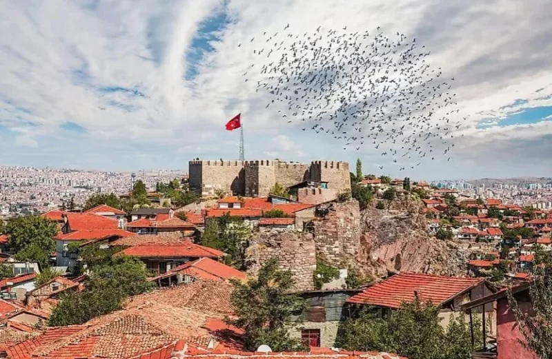 Türkiyədə Azərbaycana qarşı növbəti təxribat – Ankaradan rəsmi açıqlama
