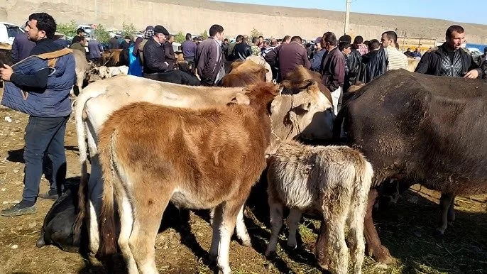 RƏSMİ: Azərbaycanda bu bazarlar bağlanır
