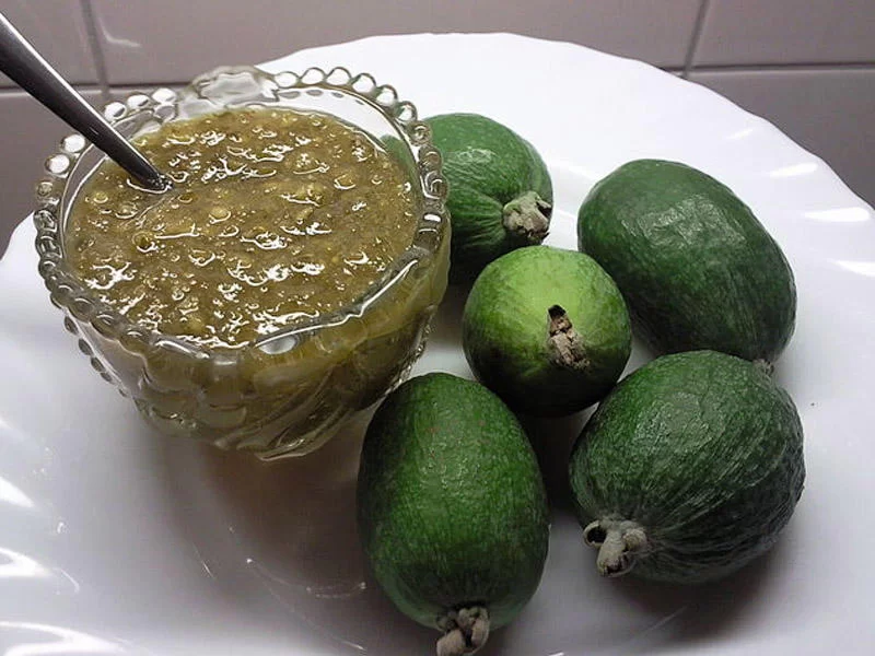 Həkim bu mürəbbə ilə bağlı xəbərdarlıq etdi