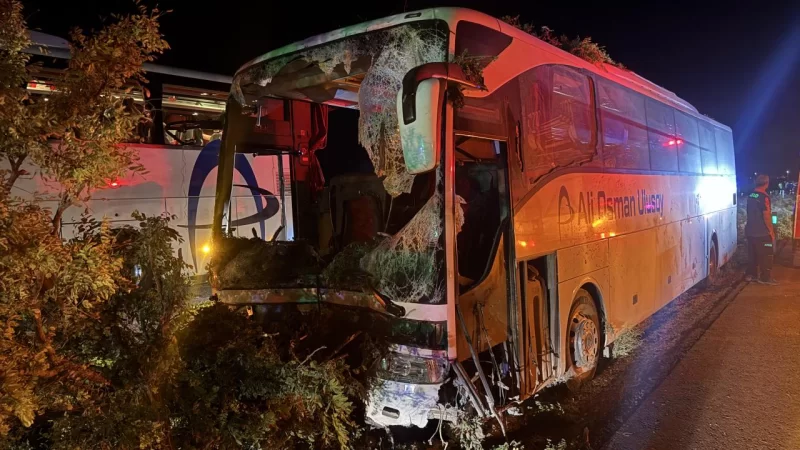 “Bakı Bus” avtobusu bulvarda ağaca çırpılıb - Foto + Video
