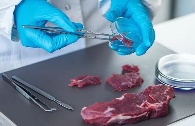 Dünyada süni ət dalğası: restoranlar real ətin alternativini seçir