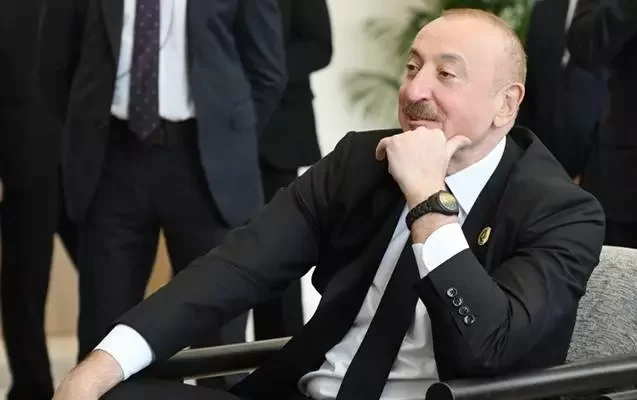 Prezident ona vəzifə verdi