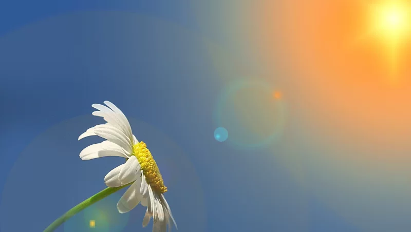 İsti hava şəraiti bu tarixədək DAVAM EDƏCƏK