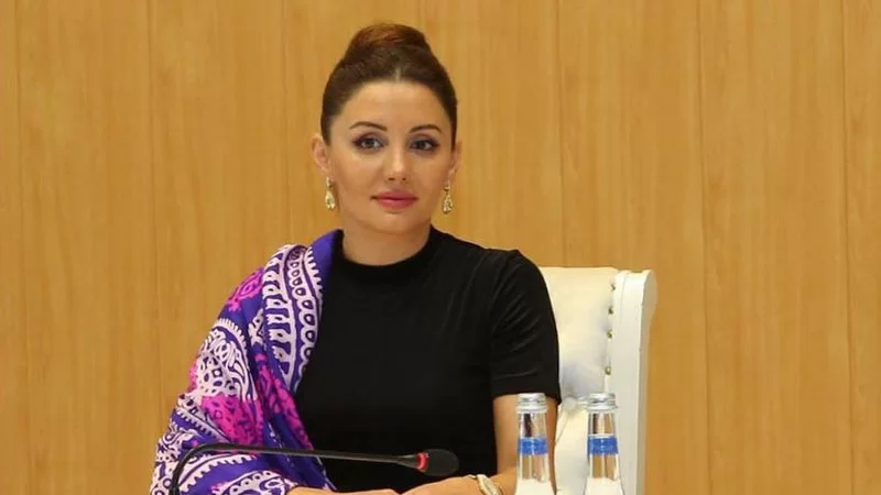 Sabiq bələdiyyə sədrinin cəzası azaldıldı