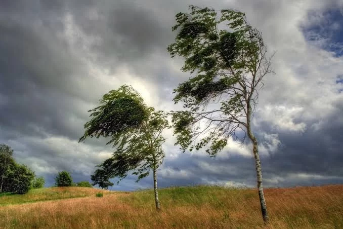 Hava şəraiti ilə bağlı sarı xəbərdarlıq edildi