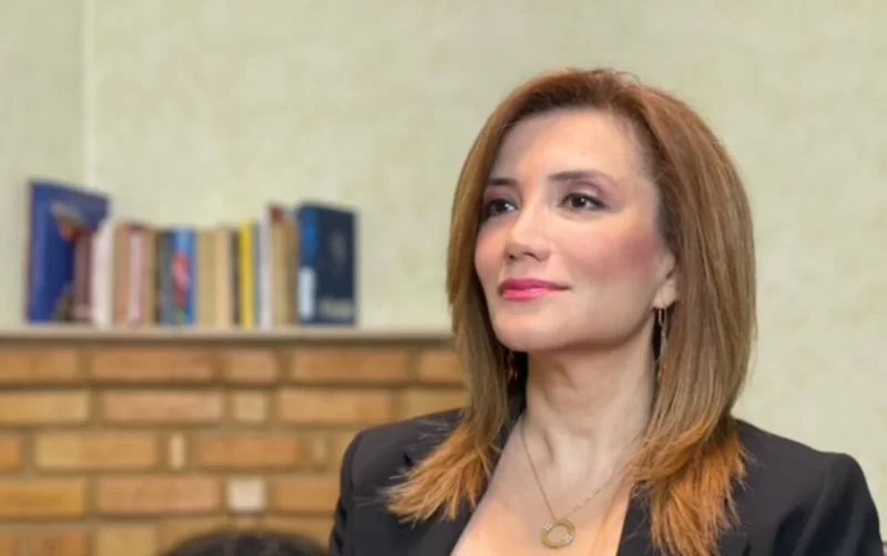 Məhkəmə Gültəkin Hacıbəyli ilə bağlı qərar verdi