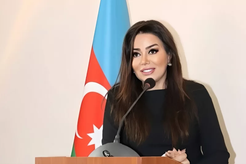 Nəsimi rayonuna o rəhbərlik edəcək